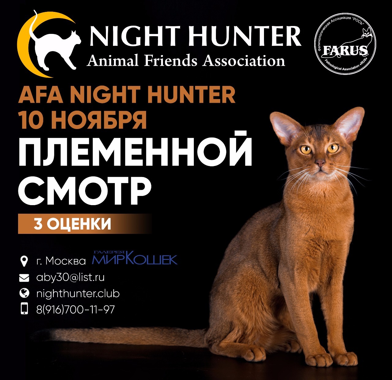 Племенной смотр