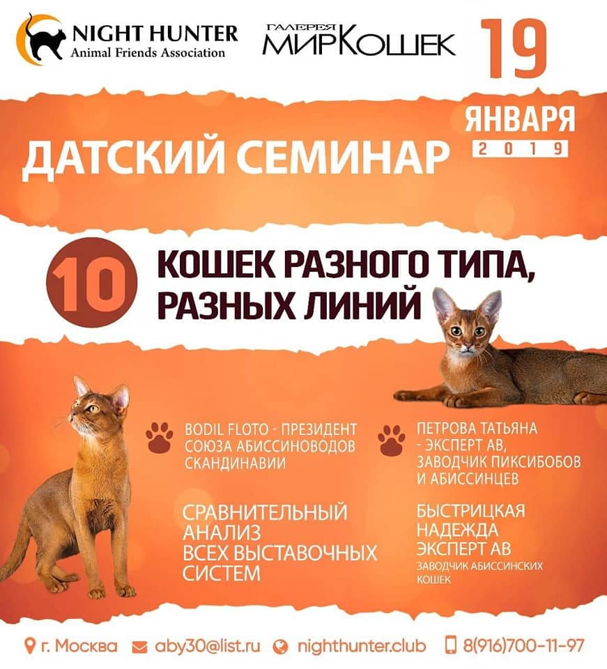 <span style="font-weight: bold;">ДАТСКИЙ СЕМИНАР</span>