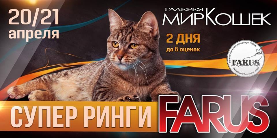 Супер ринг FARUS